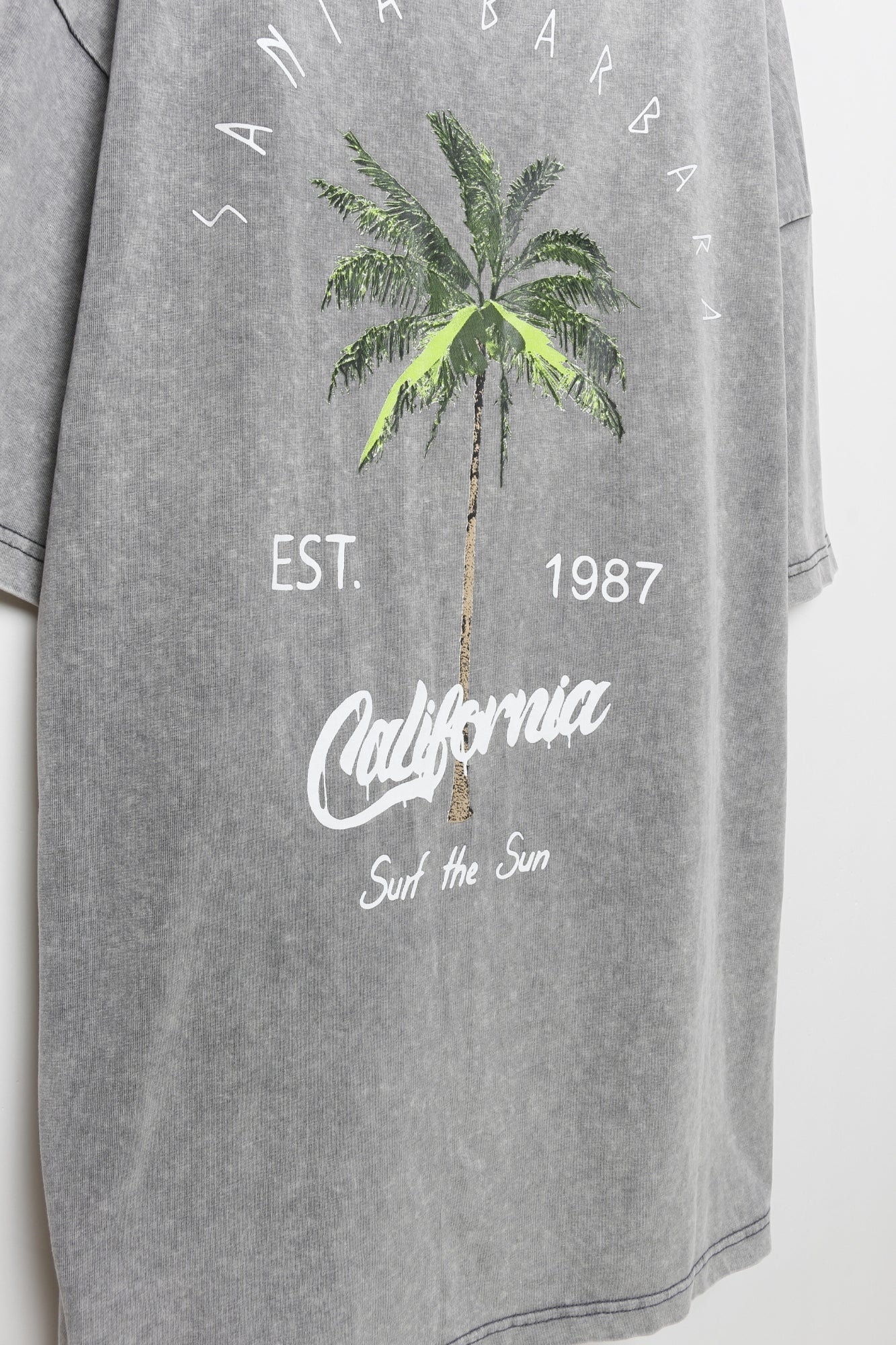 CALIFÓRNIA | T-shirt oversized com palmeiras