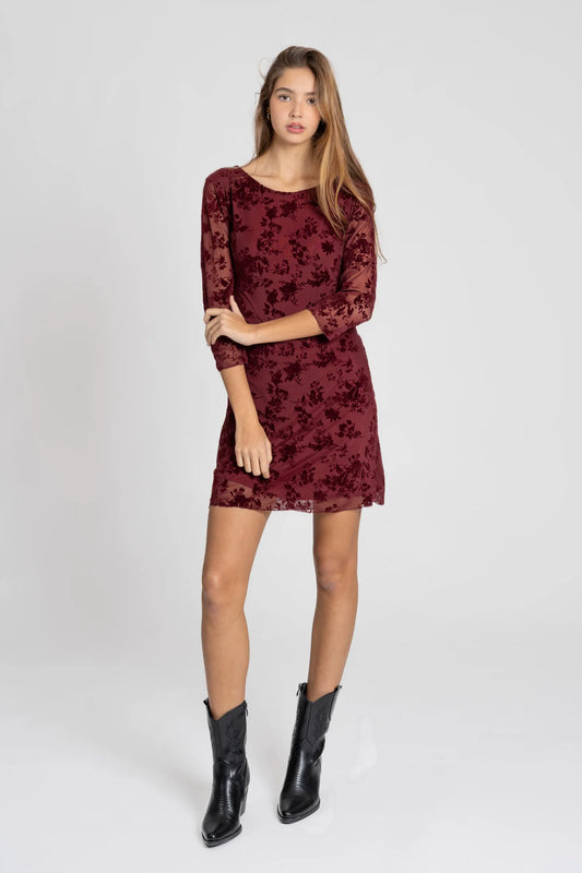 Velvet Bloom Dress